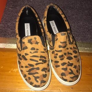 Steve Madden Leopard sprinter slip on sneakers